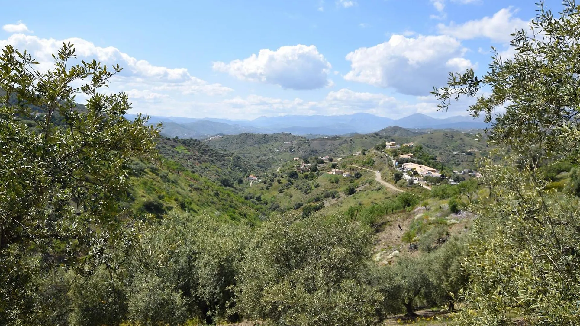 Charming Villa With Private Pool Near Arenas